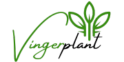 Vingerplant.nl